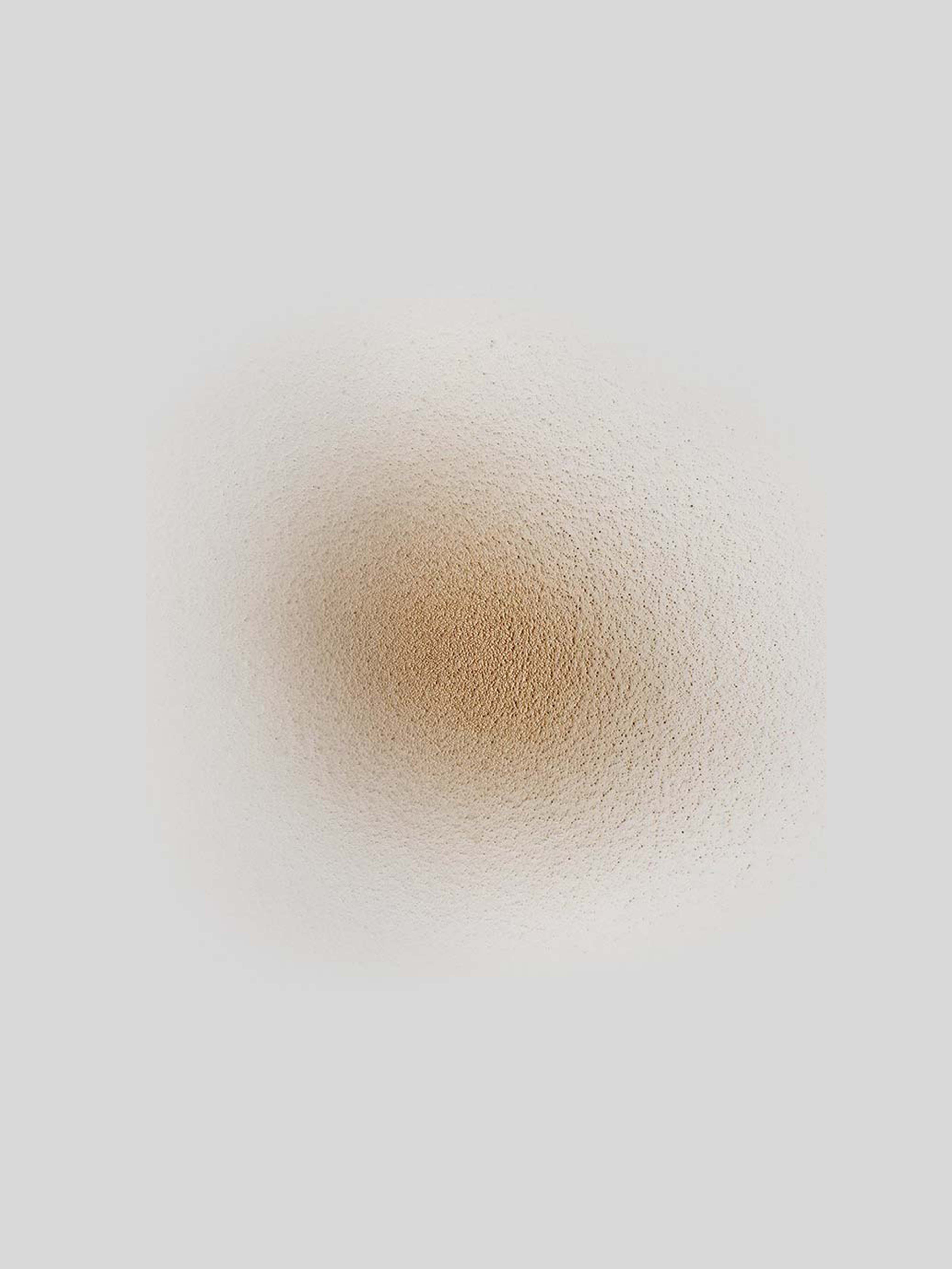DARK DRY POWDER SHAMPOO formula