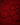 Boishield Shampoo formula close-up of bubbles on a red background
