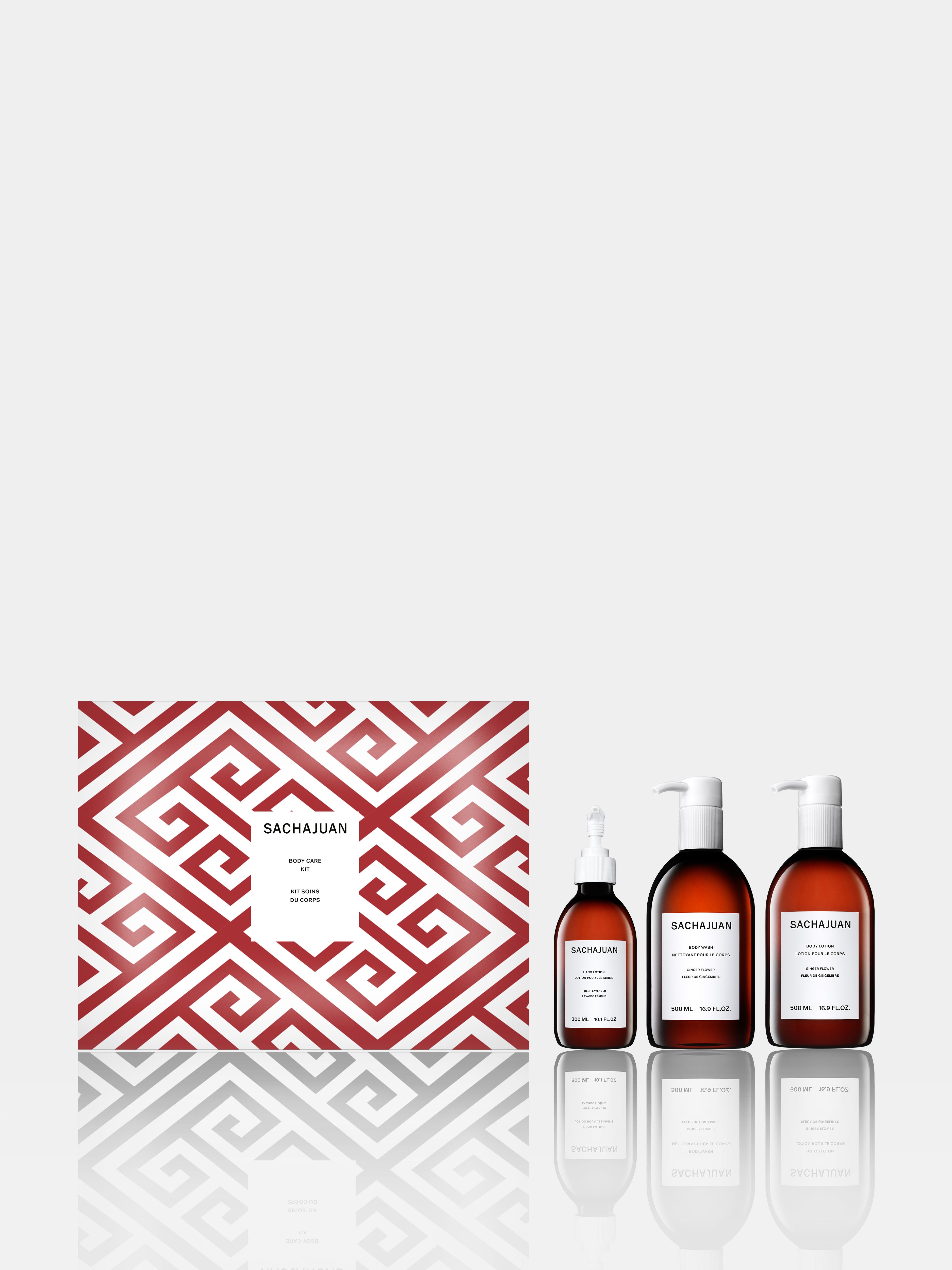 HOLIDAY BODY CARE KIT